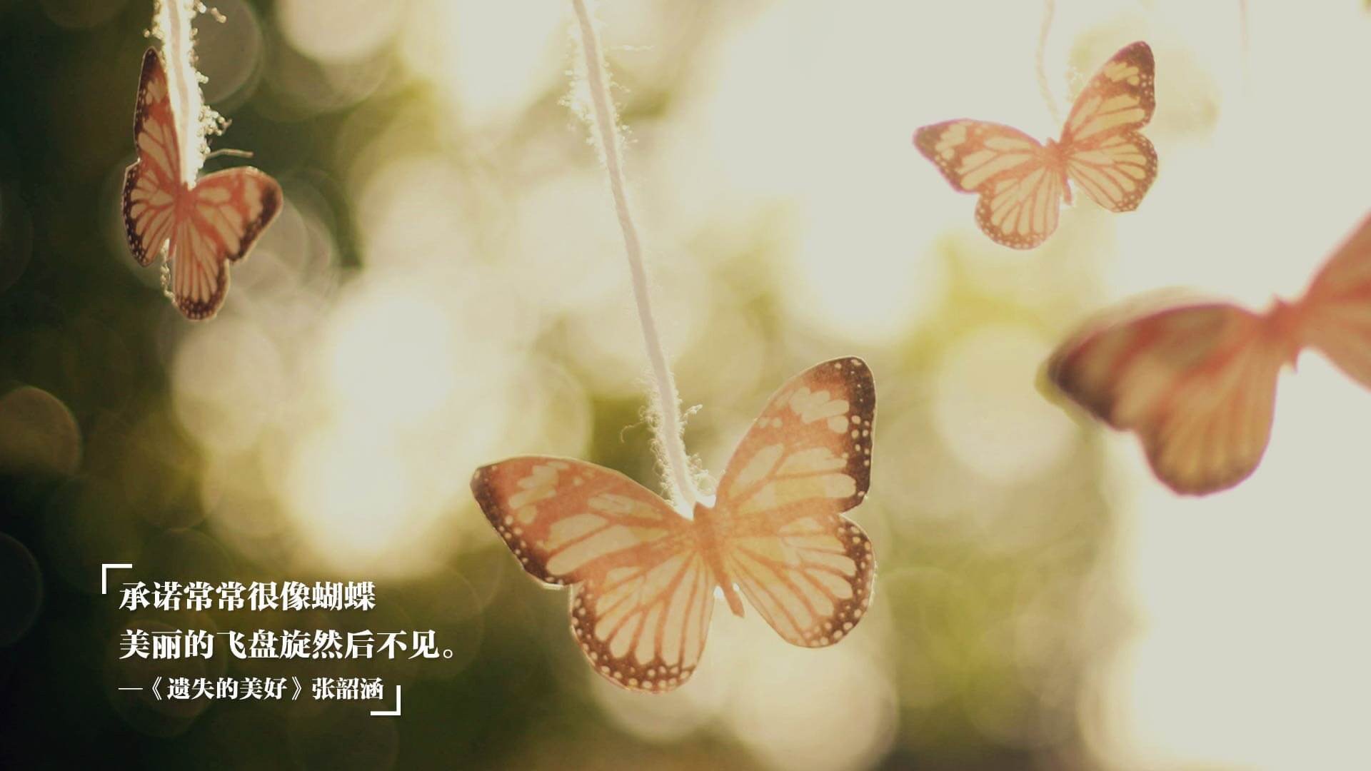 马刺与法国足协共建运动康复实验室,马刺 法国