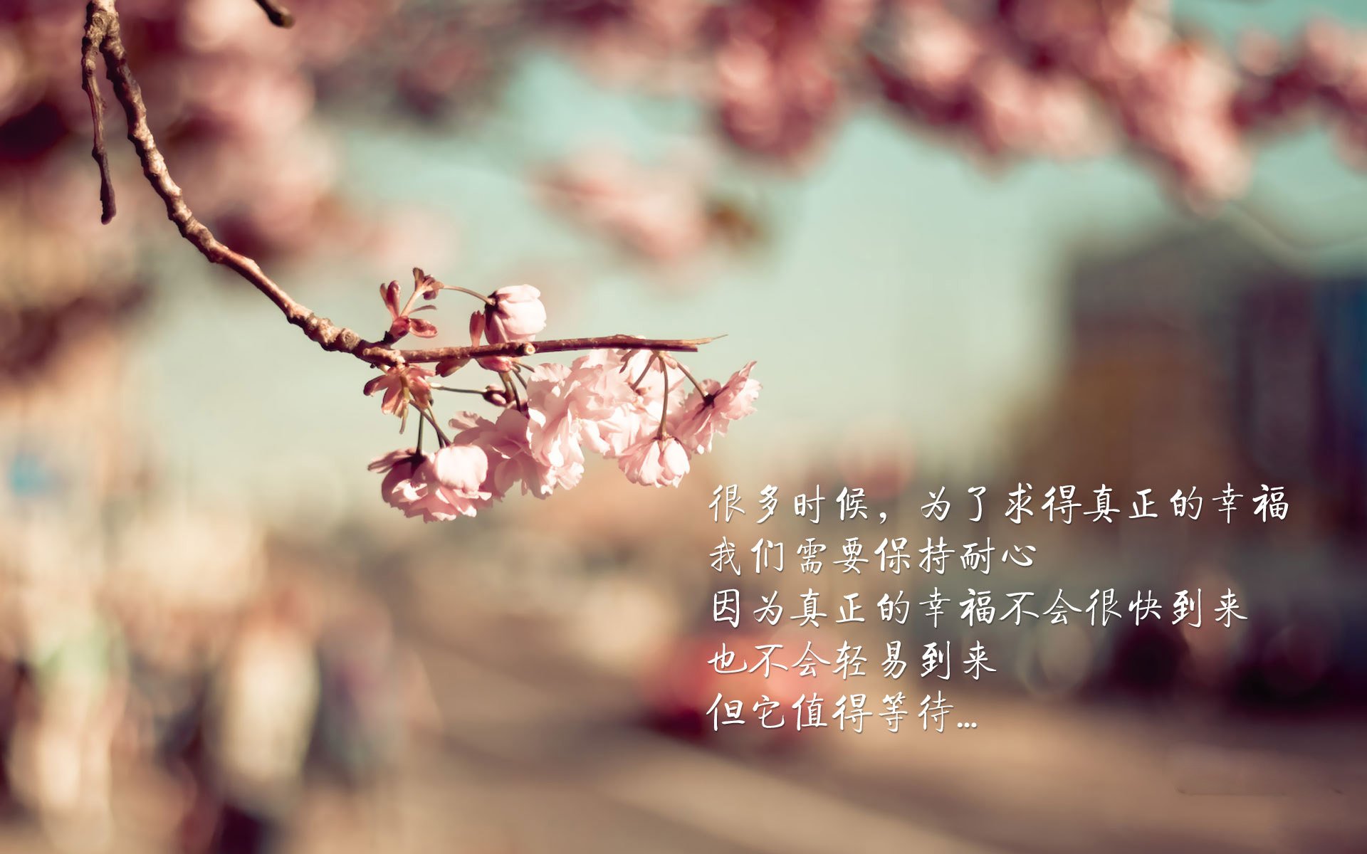 土耳其女足队员因病缺席，球队战斗力受影响！，土耳其足球名单