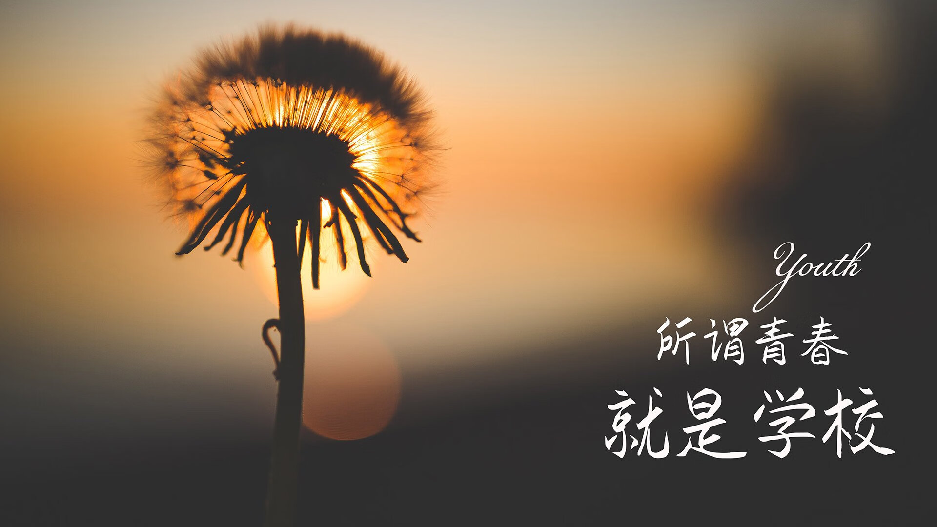 雄鹿重拾状态字母哥砍三十五，nba雄鹿字母哥伤