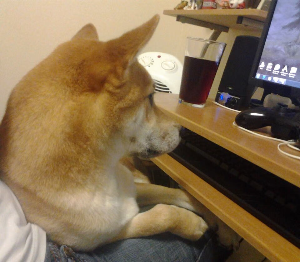 体育场馆节能管理技术创新研究,体育馆节能减排建议