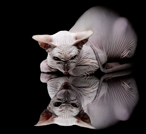 篮球运动员专项技能训练教学方法改革及效果评估,篮球个人技术训练计划