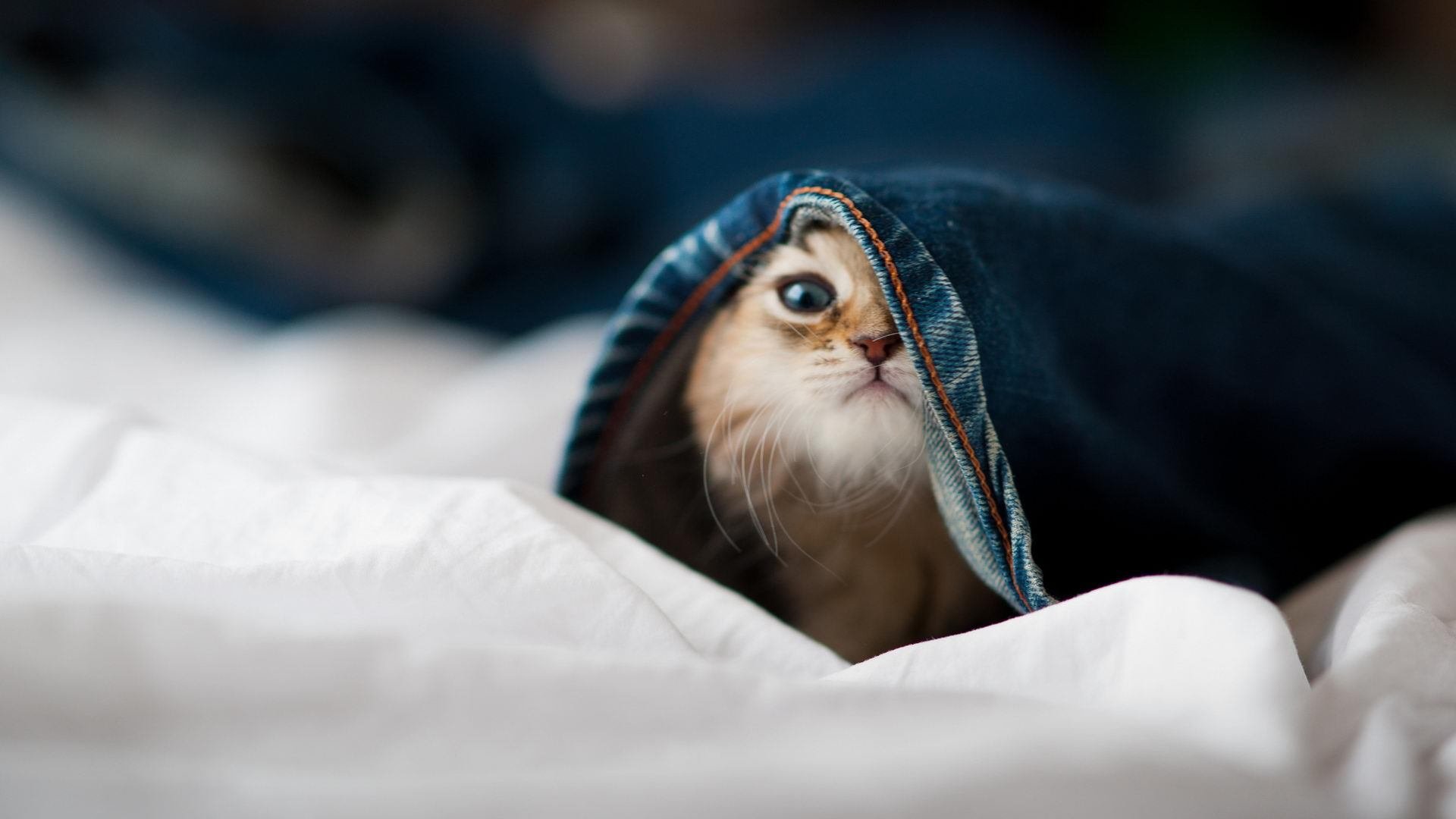 西甲球队利用热区分析调整防守站位,2021西甲用球