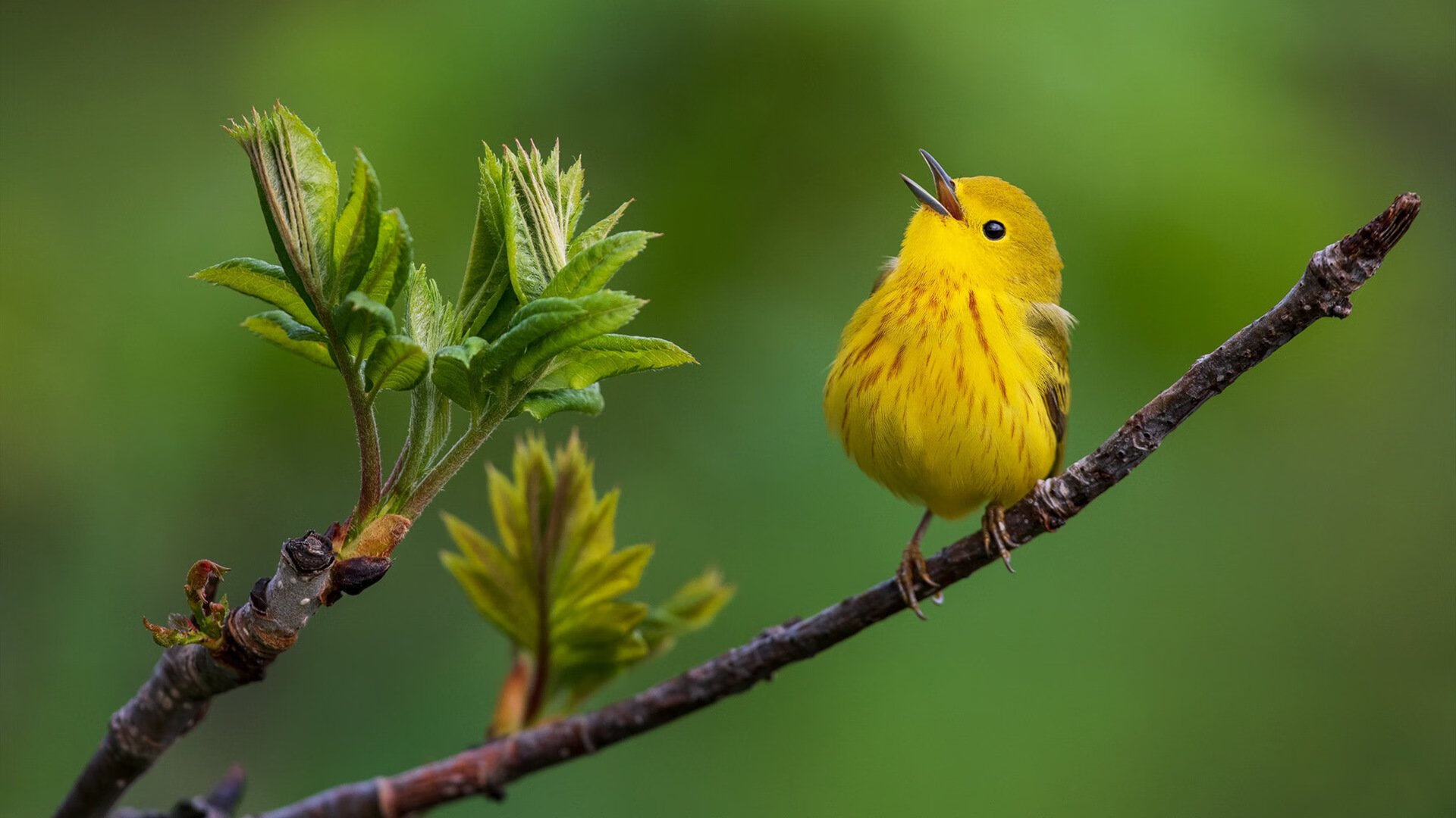 青少年体育社交行为对心理健康的影响,青少年体育社交行为对心理健康的影响有哪些