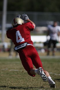 Jiuyou-五大联赛争四阶段关键球员贡献值差异对比，五大联赛引援