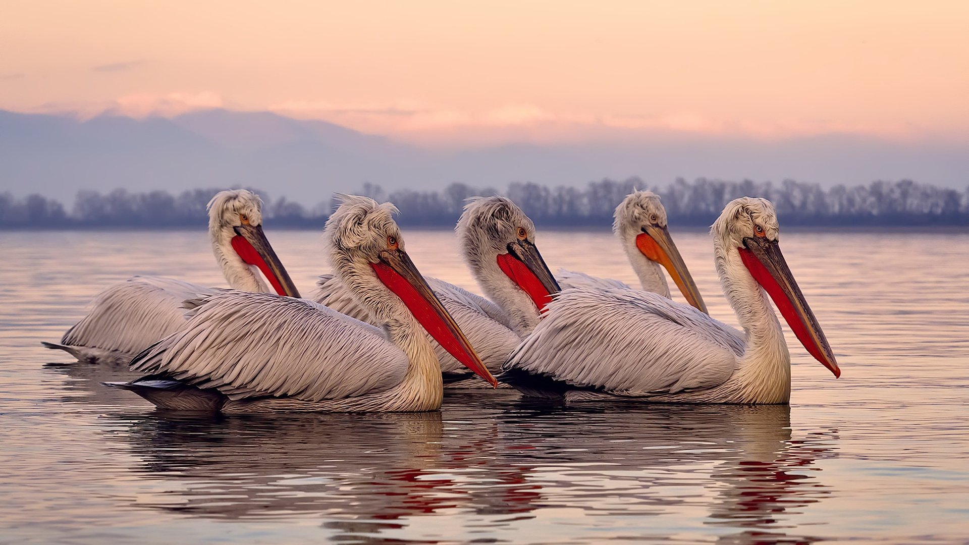 前腰下沉组织串联攻防节奏,前腰组织进攻