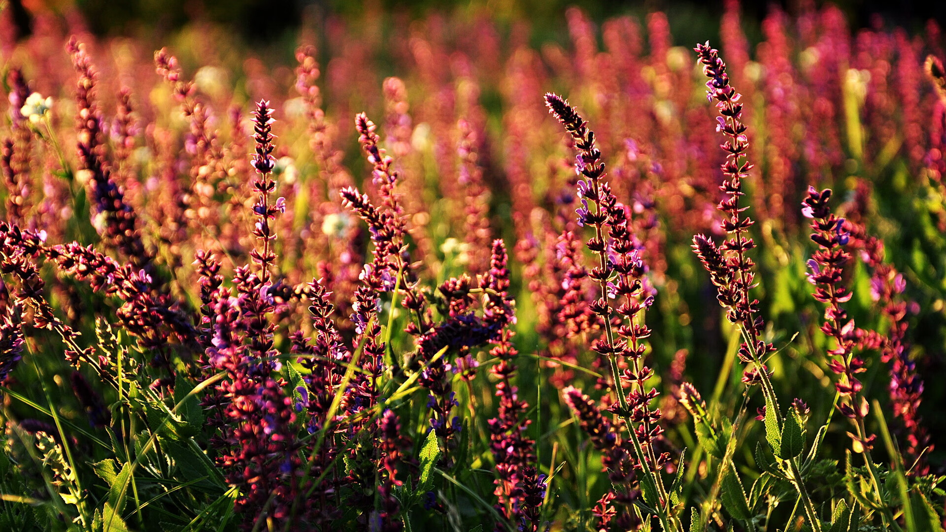 技术细节优化助力比赛节奏控制