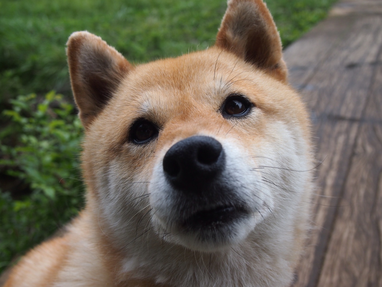 九游网页版官网-比赛节奏快慢是否影响球员防守积极性，比赛节奏快慢是否影响球员防守积极性的原因