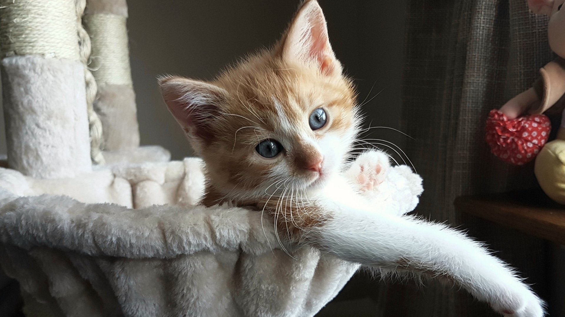 九游登录中心-职业球员体能衰退预警系统缺失，体能差的球员