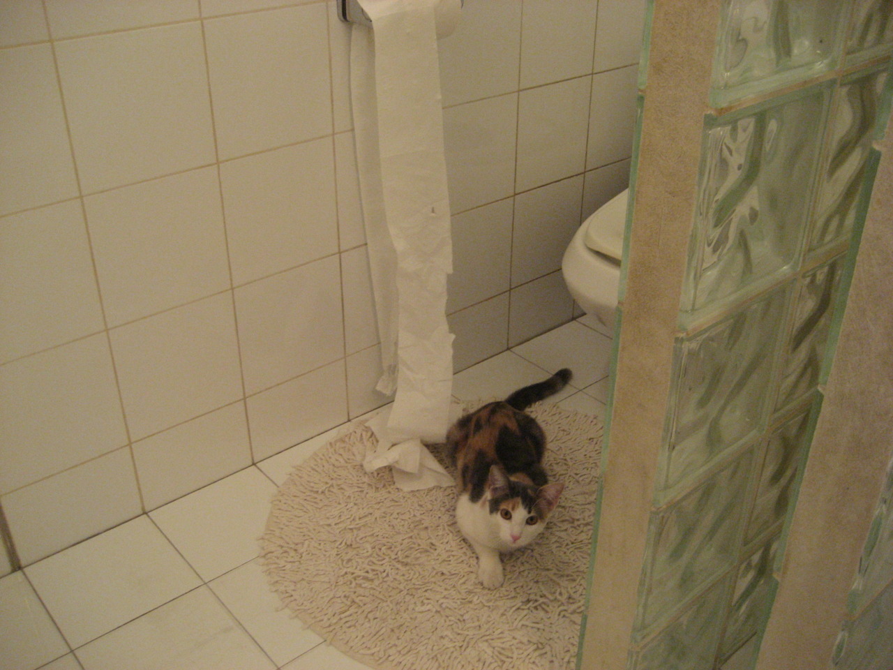 九游下载中心-青训人才梯队留存为何缺失激励机制，青训梯队招生