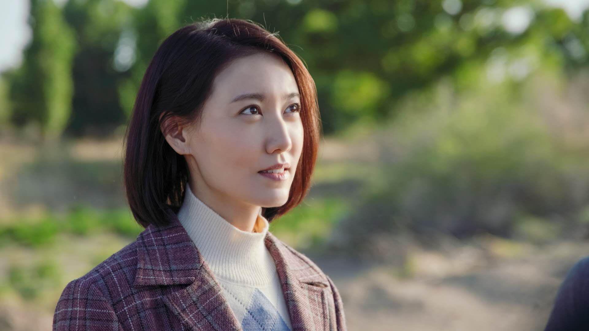 世界杯冠军之路：那些不可复制的巅峰瞬间，世界杯冠军盘点