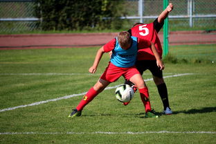 九游APP官网-中国足球俱乐部与国际学校合作开展足球课程，国内足球培训基地