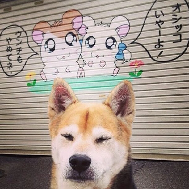 九游网-中美洲篮球锦标赛中，墨西哥队表现抢眼，冲击历史佳绩，美国男篮 墨西哥