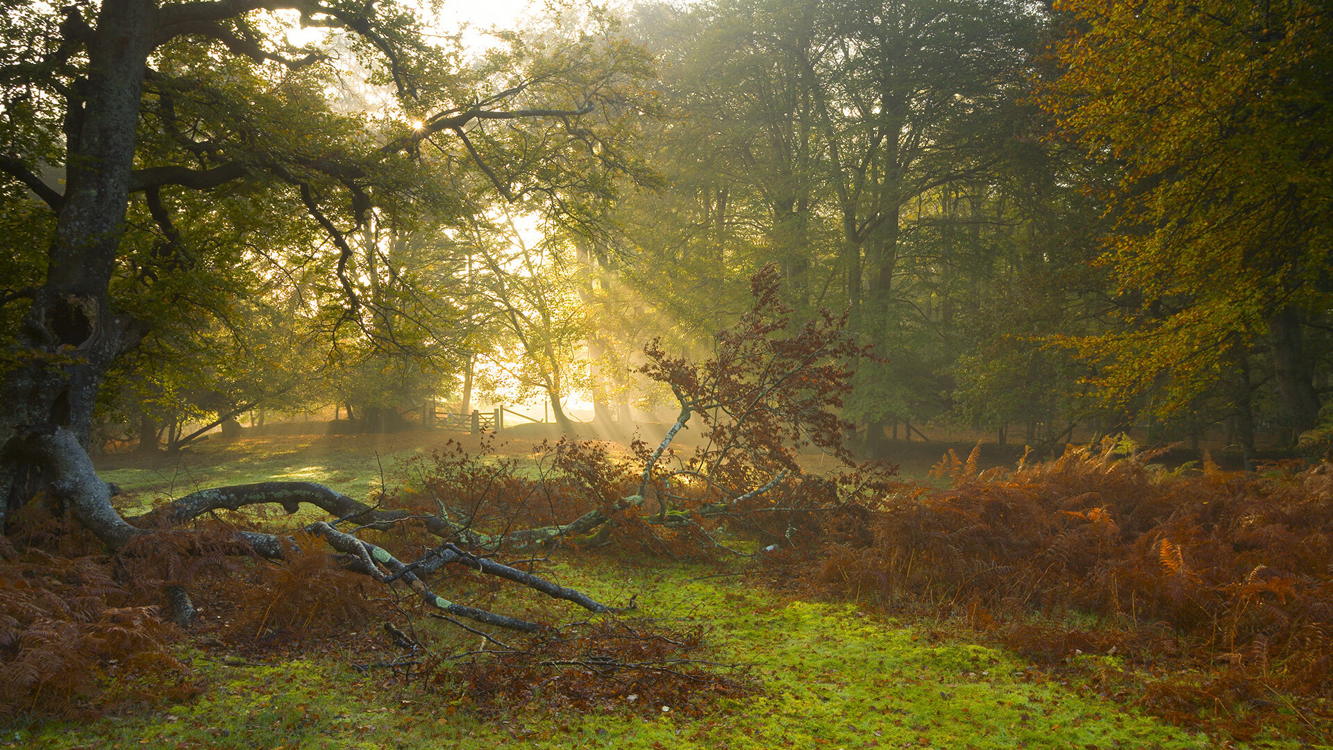 九游娱乐官网 (jiuyou)-亚洲足球崛起，球队在国际赛场上不断突破自我，亚洲足球国家队排名最新情况