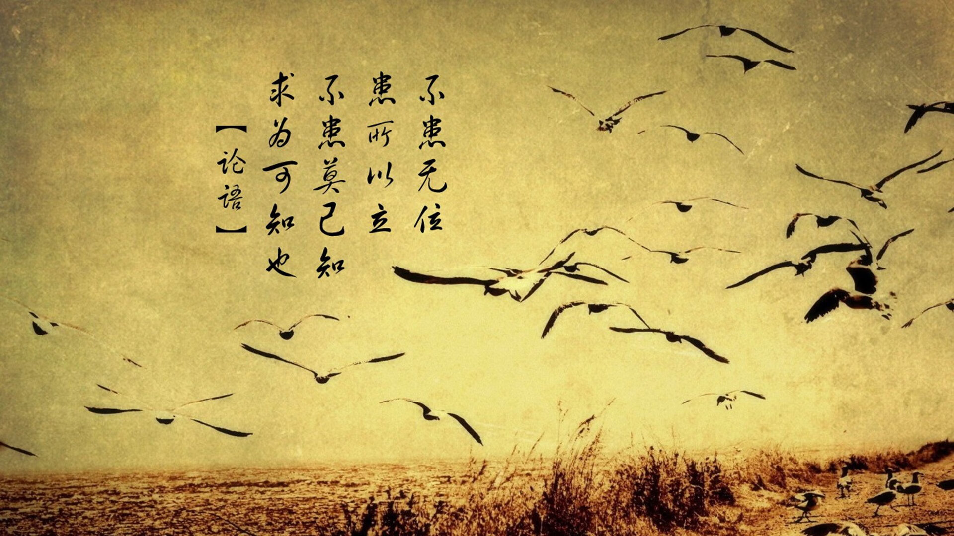 联赛推动女性管理者上岗,职业发展更具包容性,女性管理职位