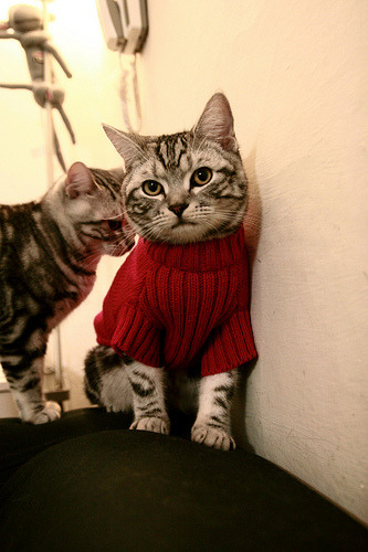 英超历史上最经典的逆转战役,英超历年转会记录