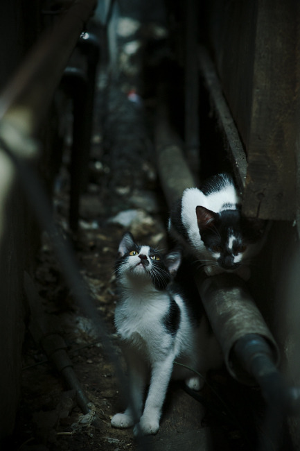 九游登录入口-阿根廷锋线在世界杯预选赛中表现强劲